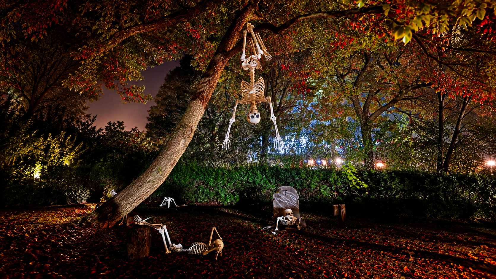 Halloween MagicLand